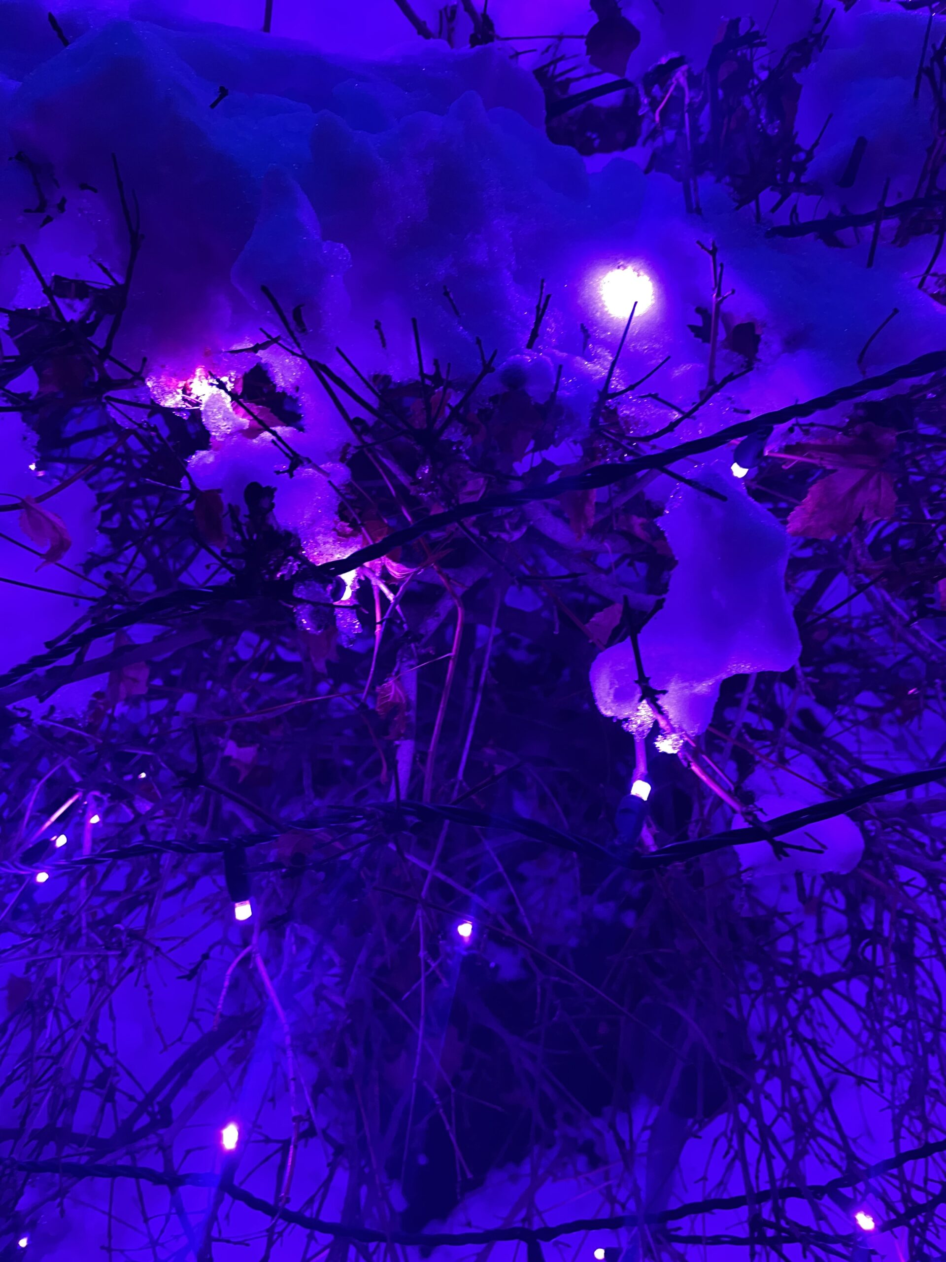 Is This PMDD or Perimenopause or Is It Both? Why So Many Women Are Asking This Question Right Now