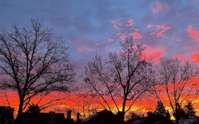 PMDD and Mental Health: Identifying What’s Hormonal and What’s Not