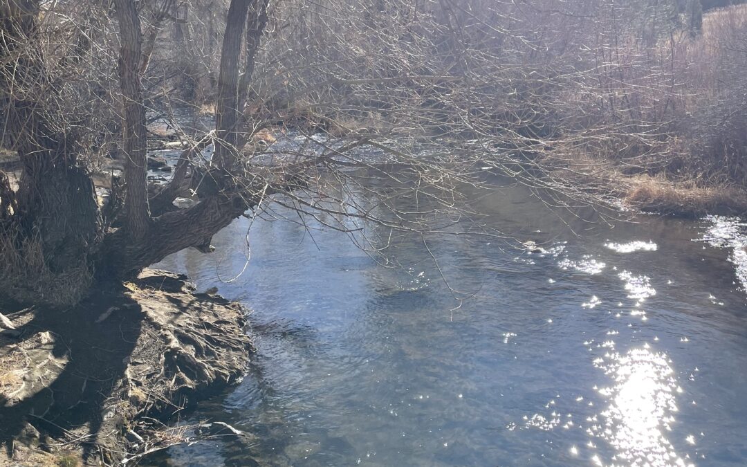 How to Talk to Your Partner About PMDD