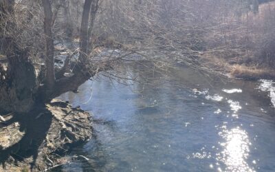 How to Talk to Your Partner About PMDD